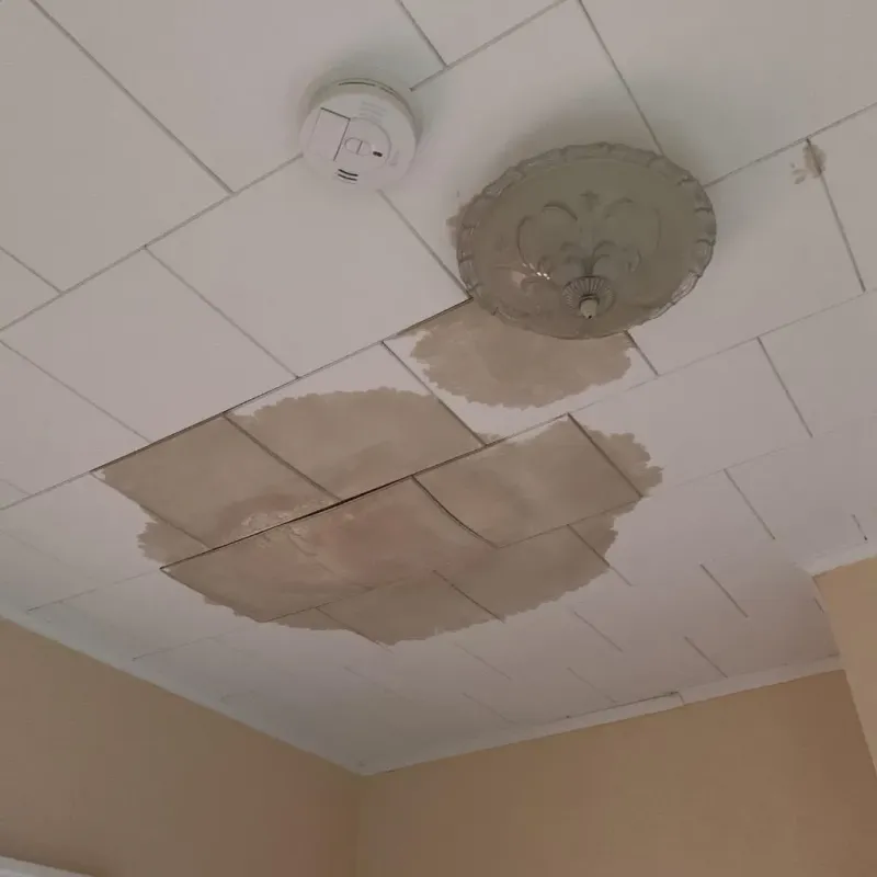 Ceiling Water Damage Repair in Mattawan, MI