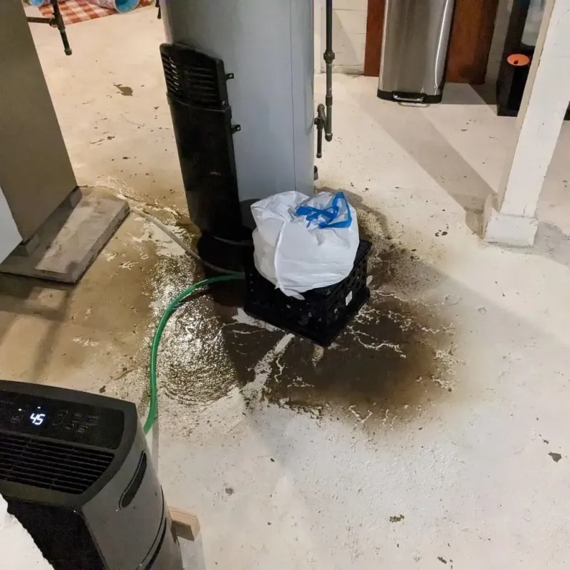 Sewage Backup Cleanup Service in Mattawan, MI